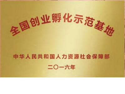 6 人力资源社会保障部“全国创业孵化示范基地” （2016）